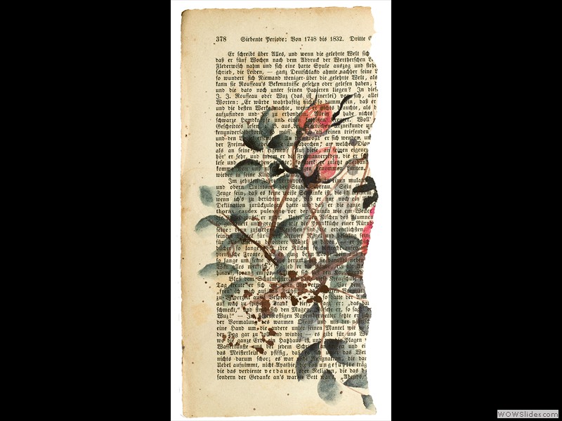 PAGINE-DAL-PASSATO-PAGINE-RITROVATE-n.14