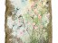 GIARDINO-GARLAND-
