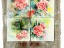 LOT-3675-